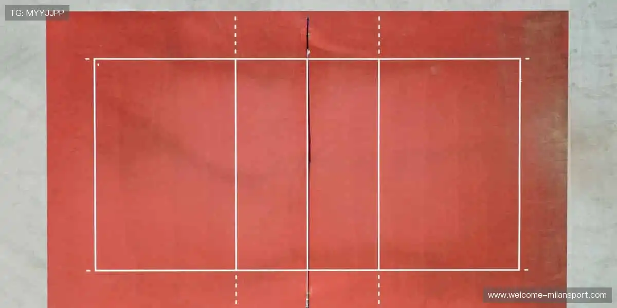 冠军同款，即刻拥有！🏅👕 体育周边，让你离偶像更近一步！